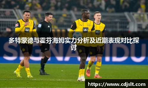 多特蒙德与霍芬海姆实力分析及近期表现对比探讨